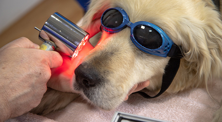 cold laser therapy